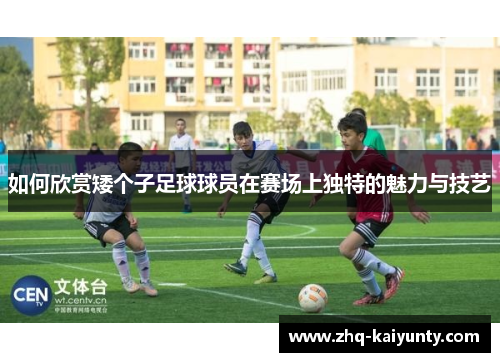 如何欣赏矮个子足球球员在赛场上独特的魅力与技艺